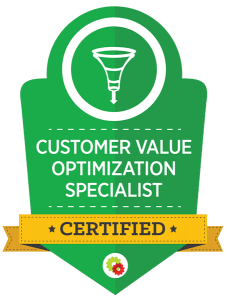 Customer Value Optimization Specialist